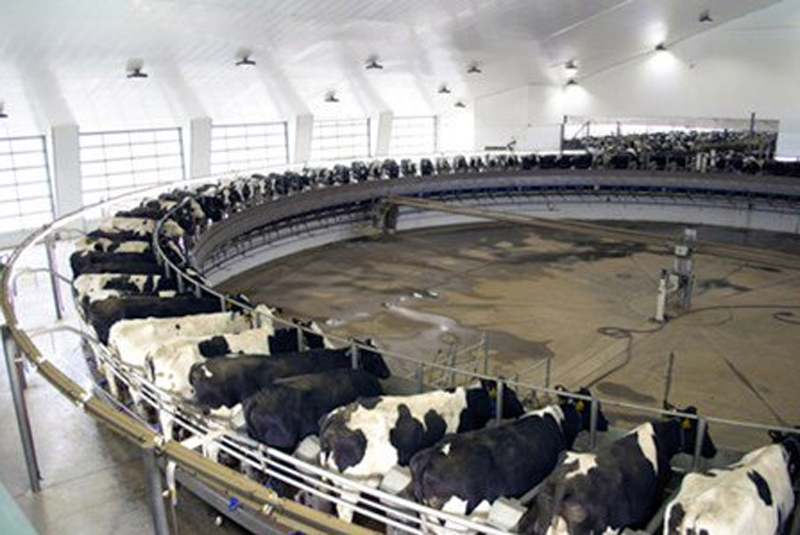 DeLaval Rotary Milking Parlors