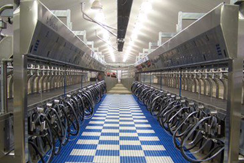 DeLaval Parallel Milking Parlors